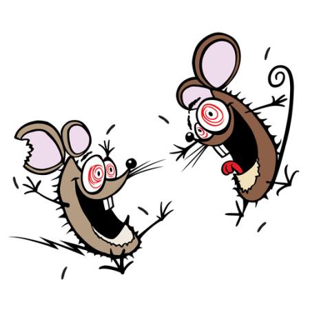 mus, möss, sinnessjukt, lyckligt, två Donald Purcell - Dreamstime