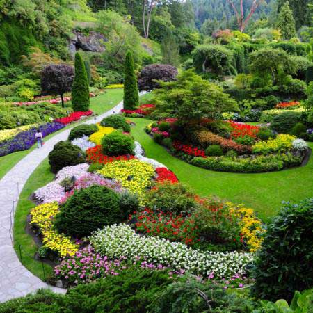 trädgård, blommor, färger, grönt Photo168 - Dreamstime