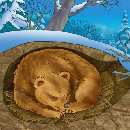 björn, vinter, sömn, förkylning, natur Alexander Kukushkin - Dreamstime