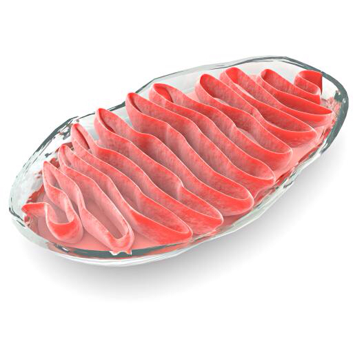Cell, Cellular, rött, kött, Gelly, bakterier Vampy1