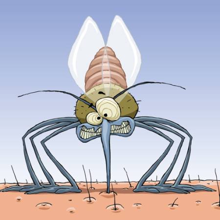 mygga, djur, hår, flugor, familj, infektion, malaria Dedmazay - Dreamstime