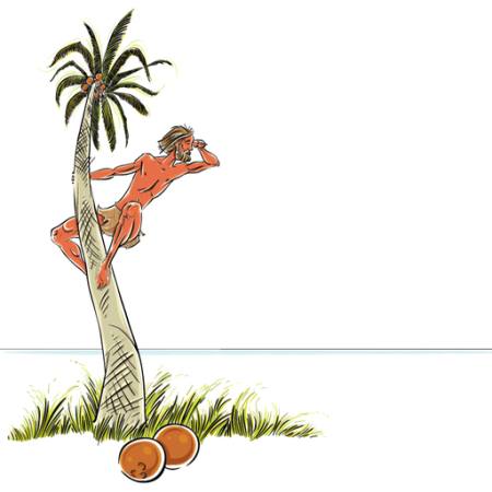 man, ö, strandsatta, kokosnöt, palm, titta, hav Sylverarts - Dreamstime