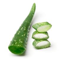 Pixwords Bilden med växt, halvt, snitt, grön Anna Sedneva - Dreamstime