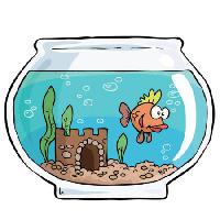 Pixwords Bilden med fisk, bunke, swin, vatten, slott, sand Dedmazay - Dreamstime