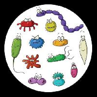 Pixwords Bilden med insekter, mikroskop, slem, virus Dedmazay - Dreamstime