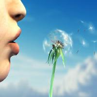 Pixwords Bilden med ansikte, människor, växter, läppar, blått, sky, blomma Andreus - Dreamstime
