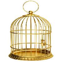 Pixwords Bilden med fågel, bur, guld, lås Ayvan - Dreamstime