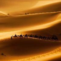 Pixwords Bilden med sand, öken, kameler, natur Rcaucino