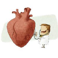 hjärta, läkare, konsult, rött, stetoskop Jrcasas