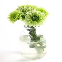Pixwords Bilden med växt, blomma, grön, vatten, rör, vas Kerstin Aust - Dreamstime