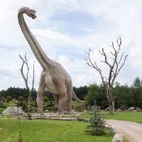 Pixwords Bilden med dinosaur, park, träd, tress, djur Caesarone