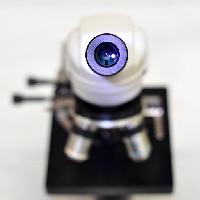 Pixwords Bilden med kameralinsen, mikroskop catiamadio