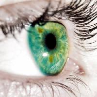 Pixwords Bilden med grönt, ögonlock, ögon Goran Turina - Dreamstime