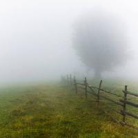 Pixwords Bilden med dimma, fält, träd, staket, grönt, Gräs Andrei Calangiu - Dreamstime
