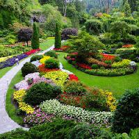 Pixwords Bilden med trädgård, blommor, färger, grönt Photo168 - Dreamstime