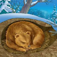 Pixwords Bilden med björn, vinter, sömn, förkylning, natur Alexander Kukushkin - Dreamstime