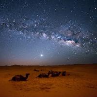 Pixwords Bilden med himmel, natt, , öken, kameler, stjärnor, moon Valentin Armianu (Asterixvs)