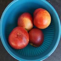 frukter, skål, blå, äta, persikor Westhimal
