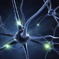 Pixwords Bilden med synaps, huvud, neuron, anslutningar Sashkinw - Dreamstime