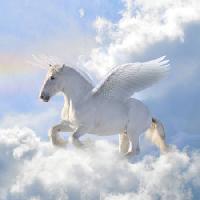 Pixwords Bilden med häst, moln, fluga, vingar Viktoria Makarova - Dreamstime