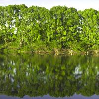 Pixwords Bilden med träd, vatten, grönt, sjö Vadim Yerofeyev - Dreamstime