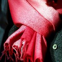 Pixwords Bilden med rött, tyg, kläder, halsduk, knapp Clarita