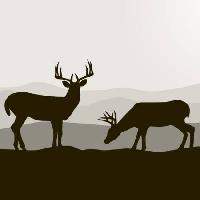 Pixwords Bilden med hjort, rådjur, svart, landskap, djur Dagadu - Dreamstime