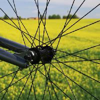 Pixwords Bilden med hjul, mark, gräs, fält, cykel, gul Leonidtit