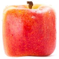 Pixwords Bilden med äpple. röd, gul, äta, mat Sergey02 - Dreamstime