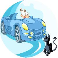 Pixwords Bilden med bil, kör, katt, djur Verzhh