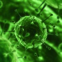 Pixwords Bilden med bakterier, virus, insekt, sjukdom, cell Sebastian Kaulitzki - Dreamstime