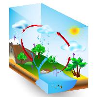 Pixwords Bilden med vatten, sol, träd, sjö, träd, moln, regn Designua